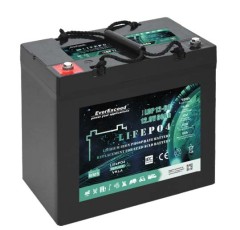 Акумулятор LiFePO4 EverExceed LDP 12-60 (12.8V60AH) BLUETOOTH