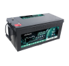 Акумулятор LiFePO4 EverExceed LDP 12-200 (12.8V200AH)