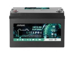 Акумулятор LiFePO4 EverExceed LDP 24-100 (25.6V100AH)