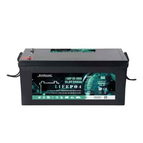 Акумулятор LiFePO4 EverExceed LDP 12-200 (12.8V200AH) BLUETOOTH