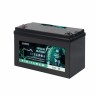 Акумулятор LiFePO4 EverExceed LDP 12-50 (12.8V50AH)