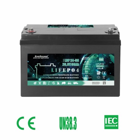 Акумулятор LiFePO4 EverExceed LDP 12-50 (12.8V50AH)