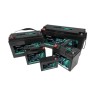 Акумулятор LiFePO4 EverExceed LDP 12-24 (12.8V24AH)