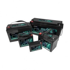 Акумулятор LiFePO4 EverExceed LDP 12-30 (12.8V30AH)